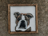 Custom Pet Portraits